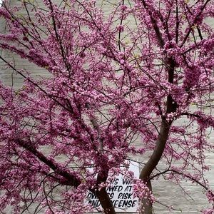 Meet your Posher, Sky